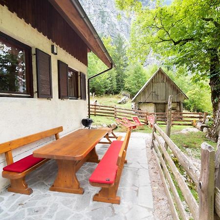 Willa Alpine House Antonia Trenta Zewnętrze zdjęcie